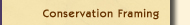 Link to Conservation Framing page